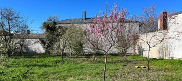 Grundstück in Frauenkirchen, Austria, Nr. 160151 3