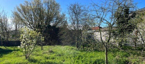 Grundstück in Frauenkirchen, Austria, Nr. 160151 4