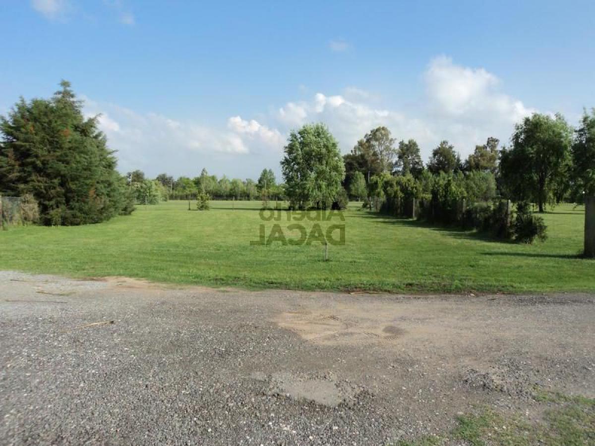  Land in Campo Creado, Argentina No. 42626