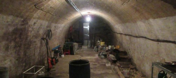 1 bedroom House in Kirchstetten, Austria No. 230133 6