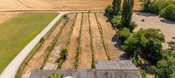 Terreno en Andlersdorf, Austria No. 198393 31