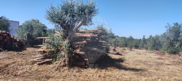 2 Schlafzimmer Haus in Abrantes, Portugal, Nr. 20159 19