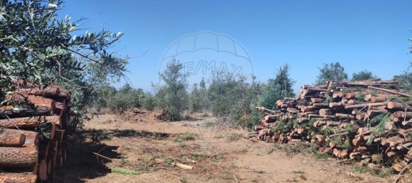 2 Schlafzimmer Haus in Abrantes, Portugal, Nr. 20159 21