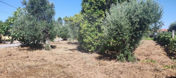 2 Schlafzimmer Haus in Abrantes, Portugal, Nr. 20159 2