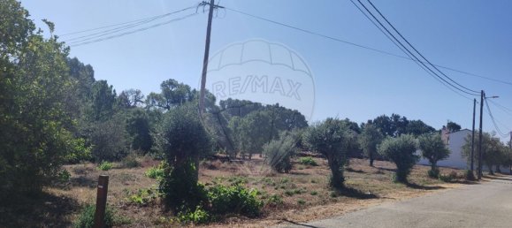 2 Schlafzimmer Haus in Abrantes, Portugal, Nr. 20159 20