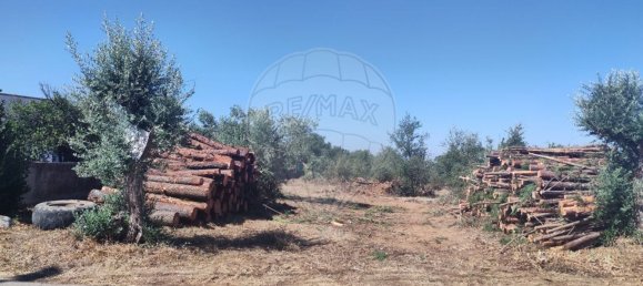 2 Schlafzimmer Haus in Abrantes, Portugal, Nr. 20159 23