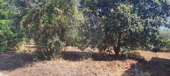 2 Schlafzimmer Haus in Abrantes, Portugal, Nr. 20159 14