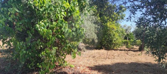 2 Schlafzimmer Haus in Abrantes, Portugal, Nr. 20159 12