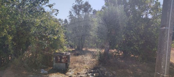 2 Schlafzimmer Haus in Abrantes, Portugal, Nr. 20159 22