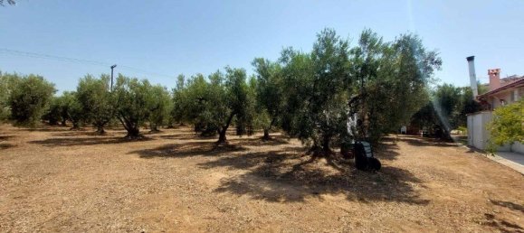 Hotel in Polygyros, Greece 19000m², Nr. 2013 20