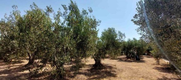 Hotel in Polygyros, Greece 19000m², Nr. 2013 21