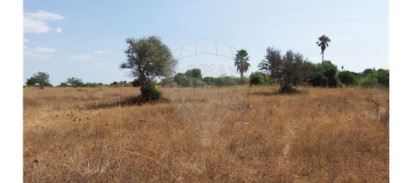 Grundstück in Silves, Portugal 8280m², Nr. 37306 3