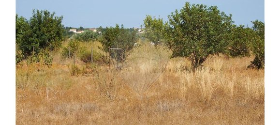 Grundstück in Silves, Portugal 8280m², Nr. 37306 2