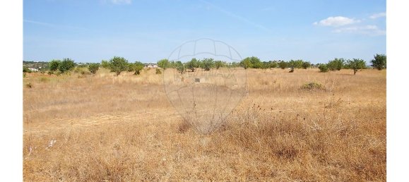 Grundstück in Silves, Portugal 8280m², Nr. 37306 9