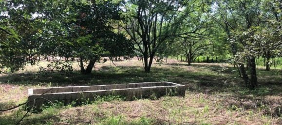  Land in Liberia, Costa Rica No. 1649 5