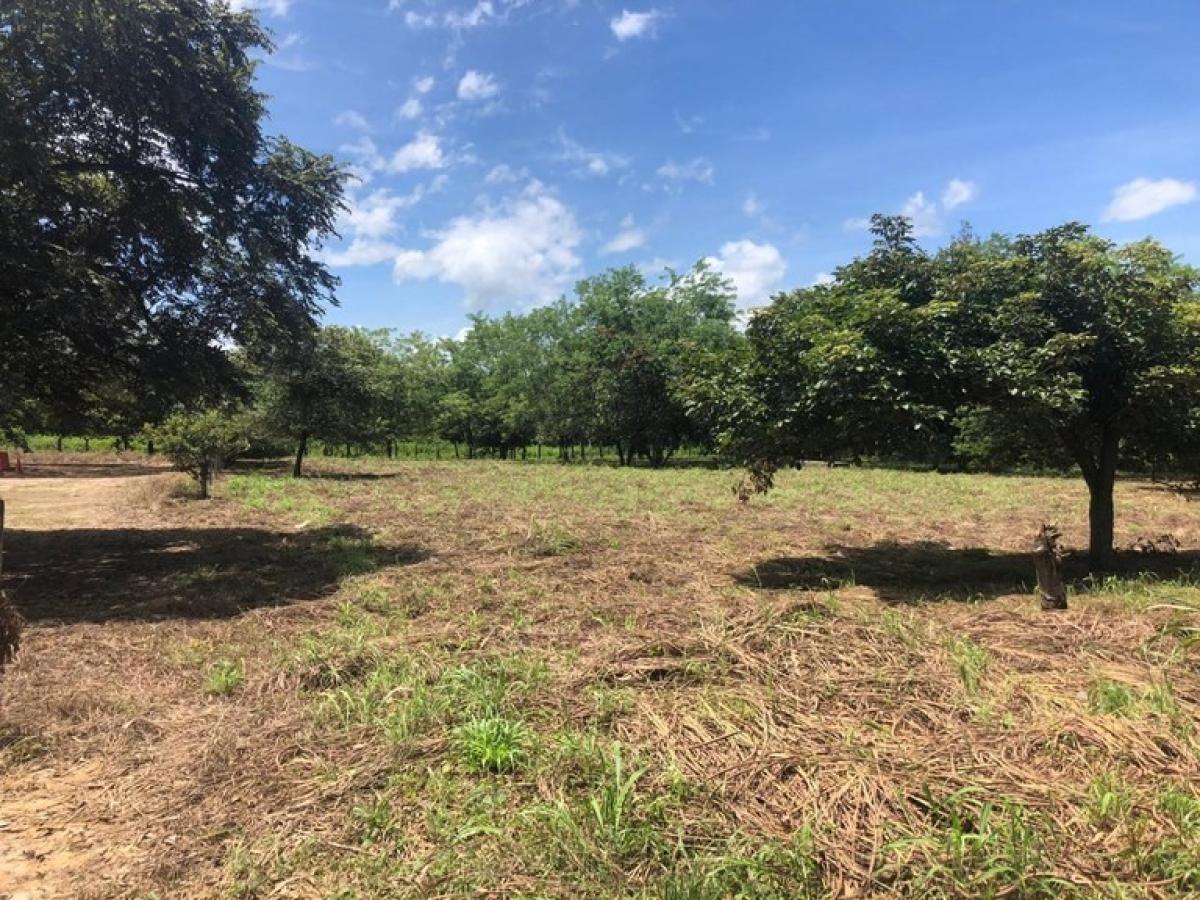  Land in Liberia, Costa Rica No. 1649