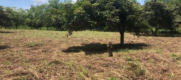  Land in Liberia, Costa Rica No. 1649 4