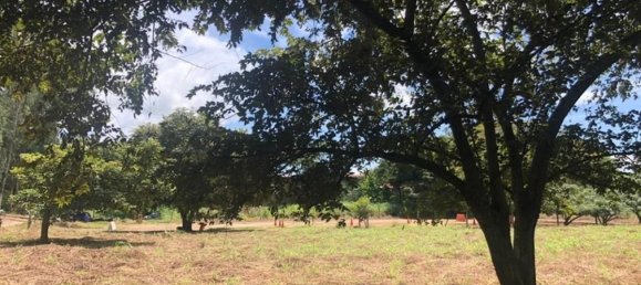  Land in Liberia, Costa Rica No. 1649 2