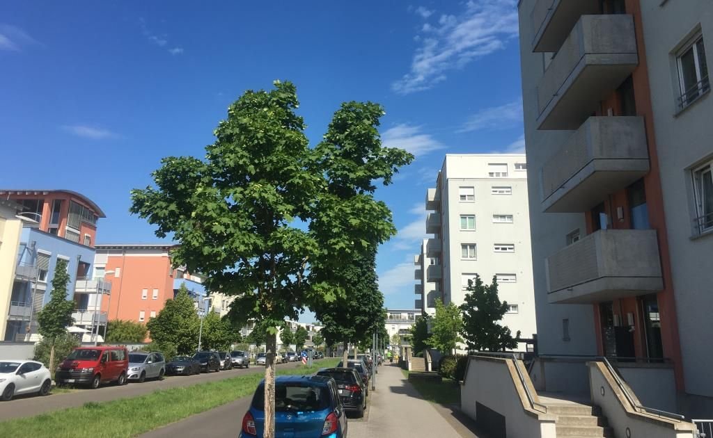 4-Zimmer Wohnung in Mainz, Germany, Nr. 98781