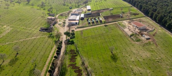 20-Zimmer Haus in Corato, Italy, Nr. 125952 20