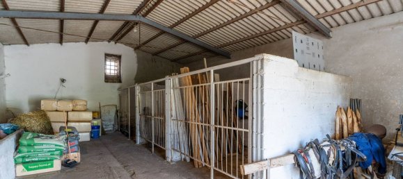 20-Zimmer Haus in Corato, Italy, Nr. 125952 26