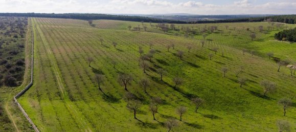 20-Zimmer Haus in Corato, Italy, Nr. 125952 4