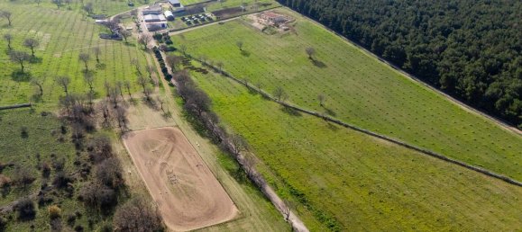 20-Zimmer Haus in Corato, Italy, Nr. 125952 19