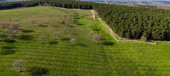 20-Zimmer Haus in Corato, Italy, Nr. 125952 14