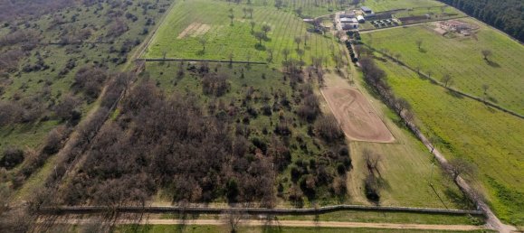 20-Zimmer Haus in Corato, Italy, Nr. 125952 18