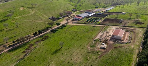 20-Zimmer Haus in Corato, Italy, Nr. 125952 21