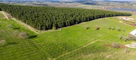 20-Zimmer Haus in Corato, Italy, Nr. 125952 15