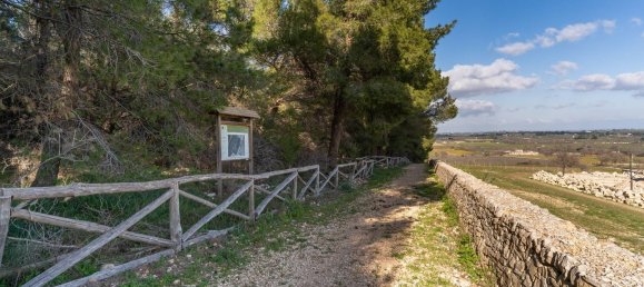 20-Zimmer Haus in Corato, Italy, Nr. 125952 25