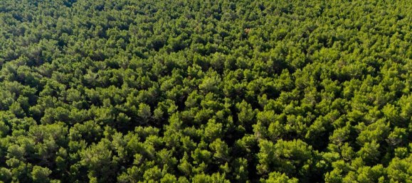 20-Zimmer Haus in Corato, Italy, Nr. 125952 22