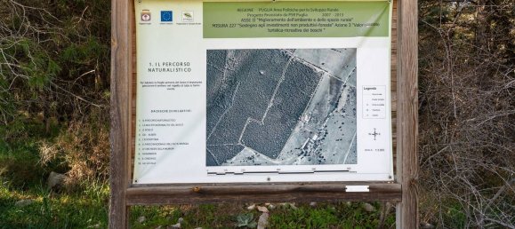 20-Zimmer Haus in Corato, Italy, Nr. 125952 24