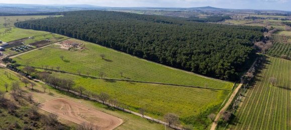 20-Zimmer Haus in Corato, Italy, Nr. 125952 16