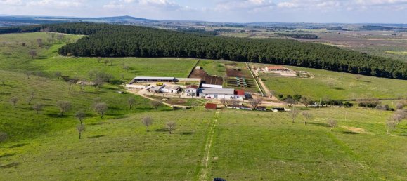 20-Zimmer Haus in Corato, Italy, Nr. 125952 2