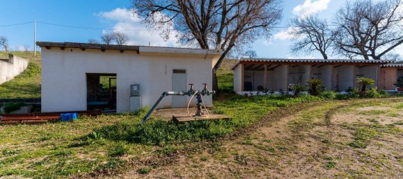 20-Zimmer Haus in Corato, Italy, Nr. 125952 13