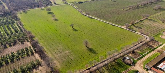 20-Zimmer Haus in Corato, Italy, Nr. 125952 17