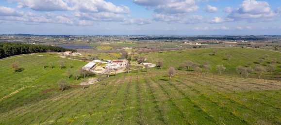 20-Zimmer Haus in Corato, Italy, Nr. 125952 3