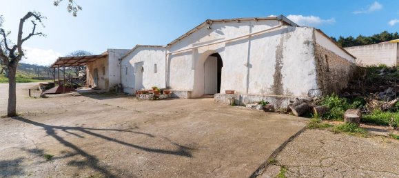 20-Zimmer Haus in Corato, Italy, Nr. 125952 7