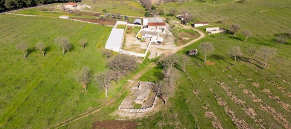 20-Zimmer Haus in Corato, Italy, Nr. 125952 5