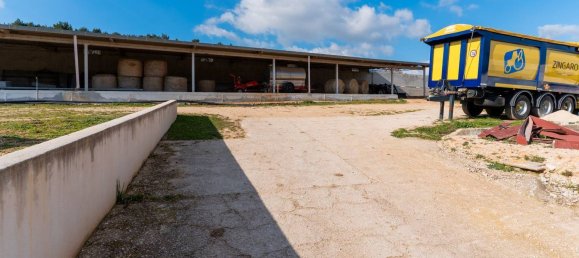 20-Zimmer Haus in Corato, Italy, Nr. 125952 23