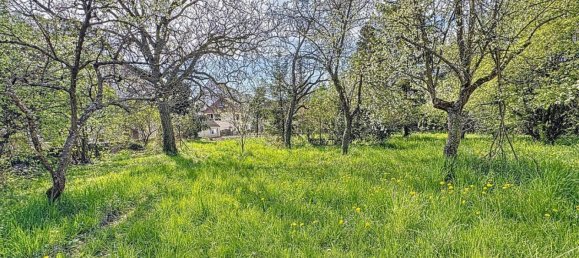 Terreno em Mutzig, France 748 m² N.º 153204 6