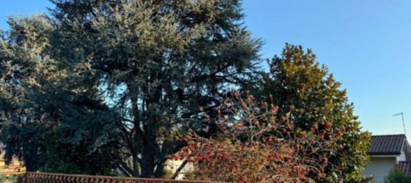 10 bedrooms Villa in Grottaferrata, Italy No. 325371 40