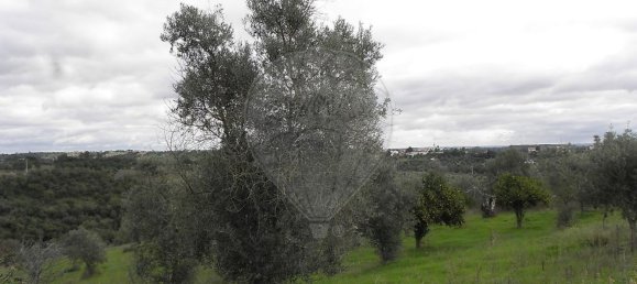 Studio in Torres Novas, Portugal No. 21686 25