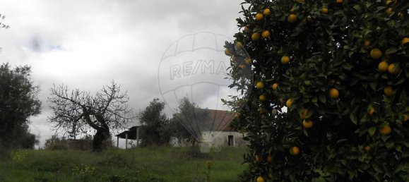 Studio in Torres Novas, Portugal No. 21686 24