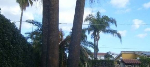 5 bedrooms Villa in Syracuse, Italy No. 247677 24