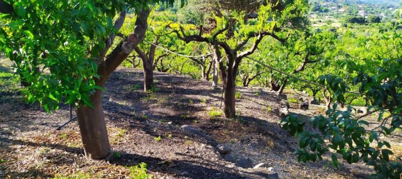 Terreno em Mascali, Italy 40000 m² N.º 255240 15