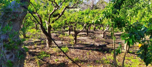 Terreno em Mascali, Italy 40000 m² N.º 255240 11