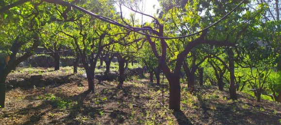 Terreno em Mascali, Italy 40000 m² N.º 255240 6